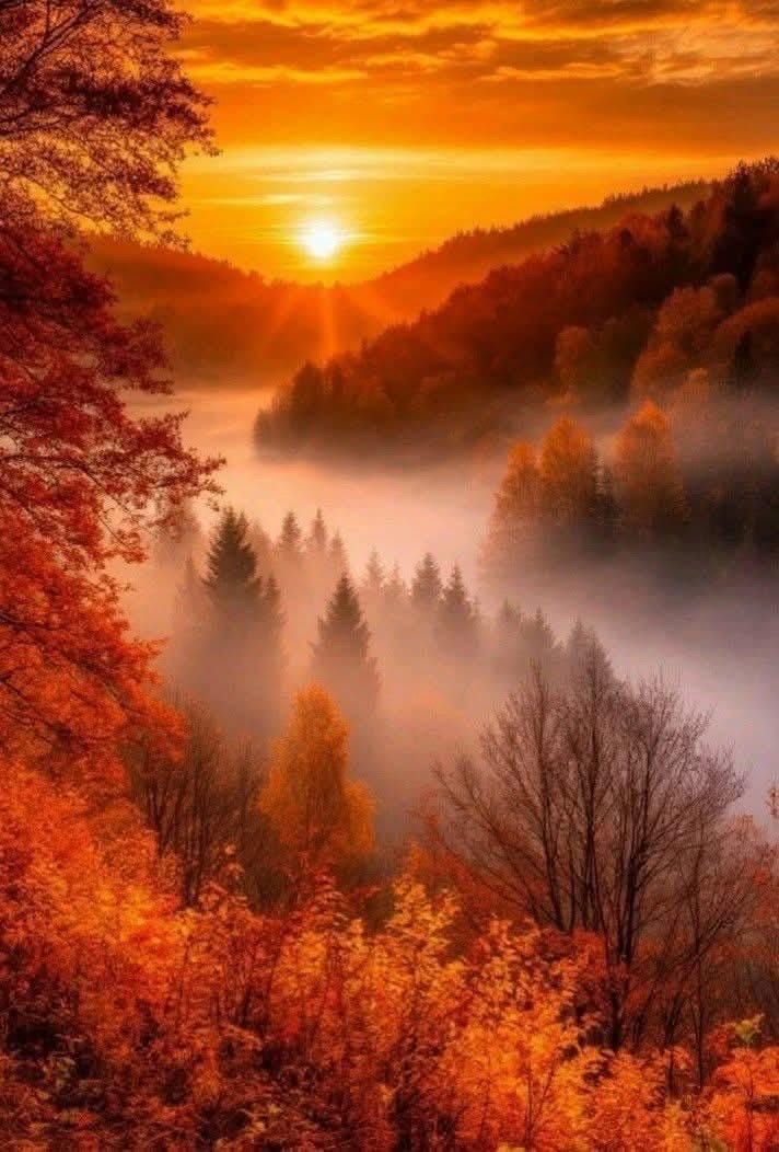 Live as Children of Light – Ephesians 5.8-14